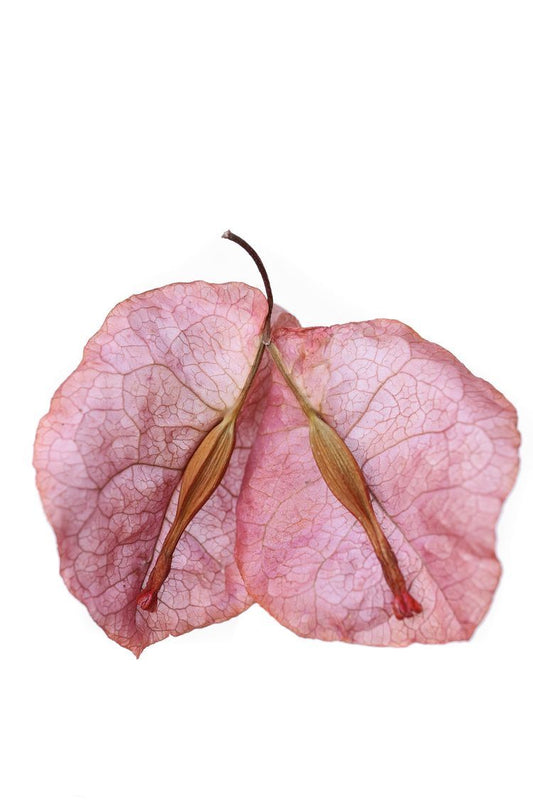 Habíamos “perdido la fe”...