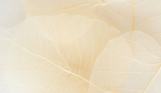 Mi embarazo era ectópico.