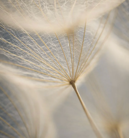 Por fin fue, y resulta que no.