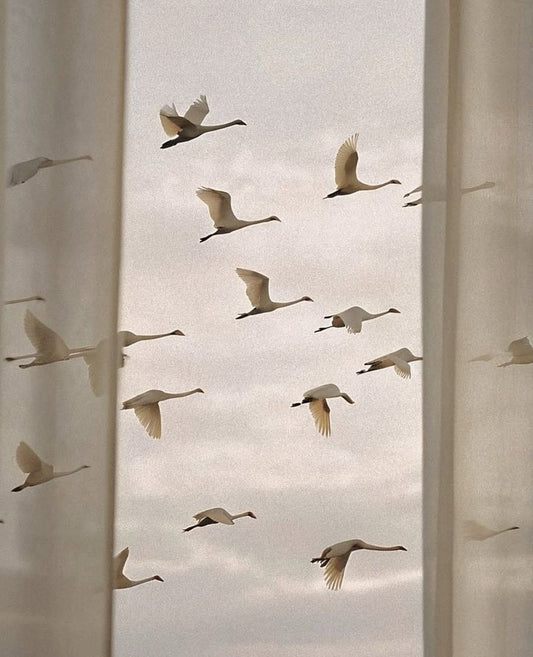 Una parte de mí se rompió.