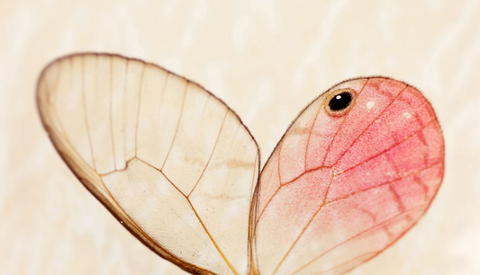 Nadie muere para que aprendamos una lección.