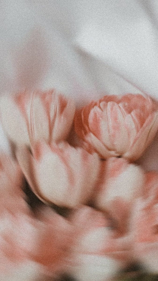 Apoyar durante el duelo: